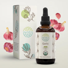 Load image into Gallery viewer, Garlic Tincture herbera Garlic Tincture herbera Herbal Extract