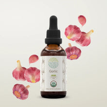 Load image into Gallery viewer, Garlic Tincture herbera Garlic Tincture herbera Herbal Extract