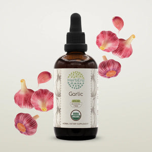 Garlic Tincture herbera Garlic Tincture herbera Herbal Extract
