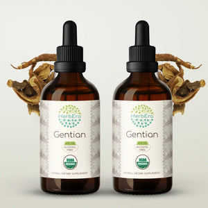 Gentian Tincture herbera Gentian Tincture herbera Herbal Extract