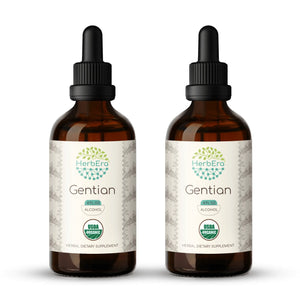 Gentian Tincture herbera Gentian Tincture herbera Herbal Extract