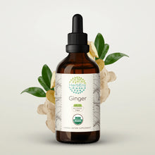 Load image into Gallery viewer, Ginger Tincture herbera Ginger Tincture herbera Herbal Extract