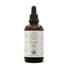 Load image into Gallery viewer, Ginger Tincture herbera Ginger Tincture herbera Herbal Extract