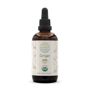 Ginger Tincture herbera Ginger Tincture herbera Herbal Extract