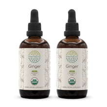 Load image into Gallery viewer, Ginger Tincture herbera Ginger Tincture herbera Herbal Extract