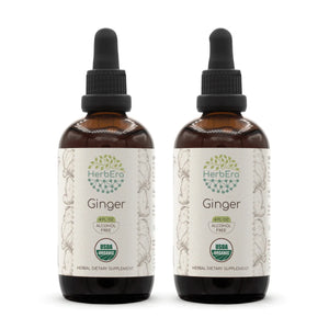 Ginger Tincture herbera Ginger Tincture herbera Herbal Extract