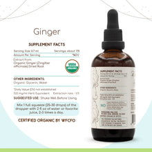 Load image into Gallery viewer, Ginger Tincture herbera Ginger Tincture herbera Herbal Extract