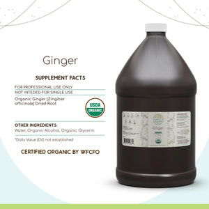 Ginger Tincture herbera Ginger Tincture herbera Herbal Extract