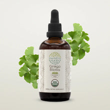 Load image into Gallery viewer, Ginkgo Biloba Tincture