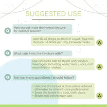 Load image into Gallery viewer, Buy Osha Tincture online - HerbEra