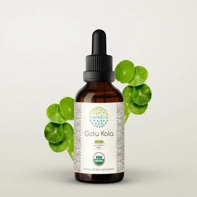 Gotu Kola Tincture herbera Gotu Kola Tincture herbera Herbal Extract