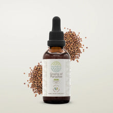 Load image into Gallery viewer, Grains of Paradise Tincture