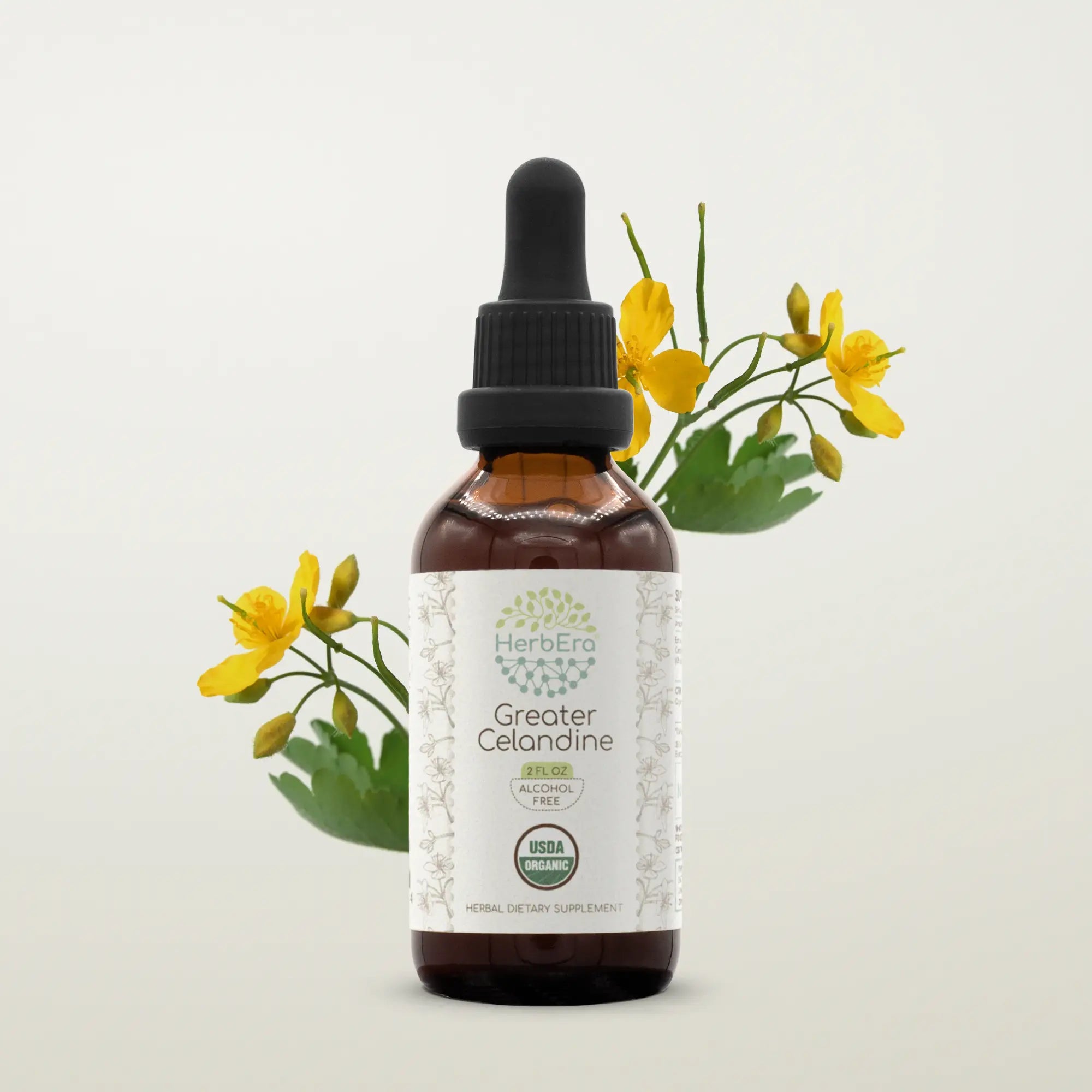 Greater Celandine Tincture