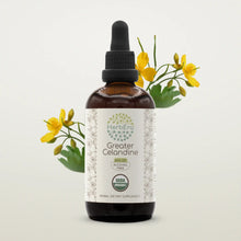 Load image into Gallery viewer, Buy Greater Celandine Tincture online - Herbera