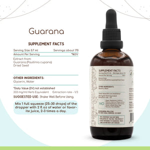 Guarana Tincture HerbEra Guarana Tincture HerbEra Herbal Extract