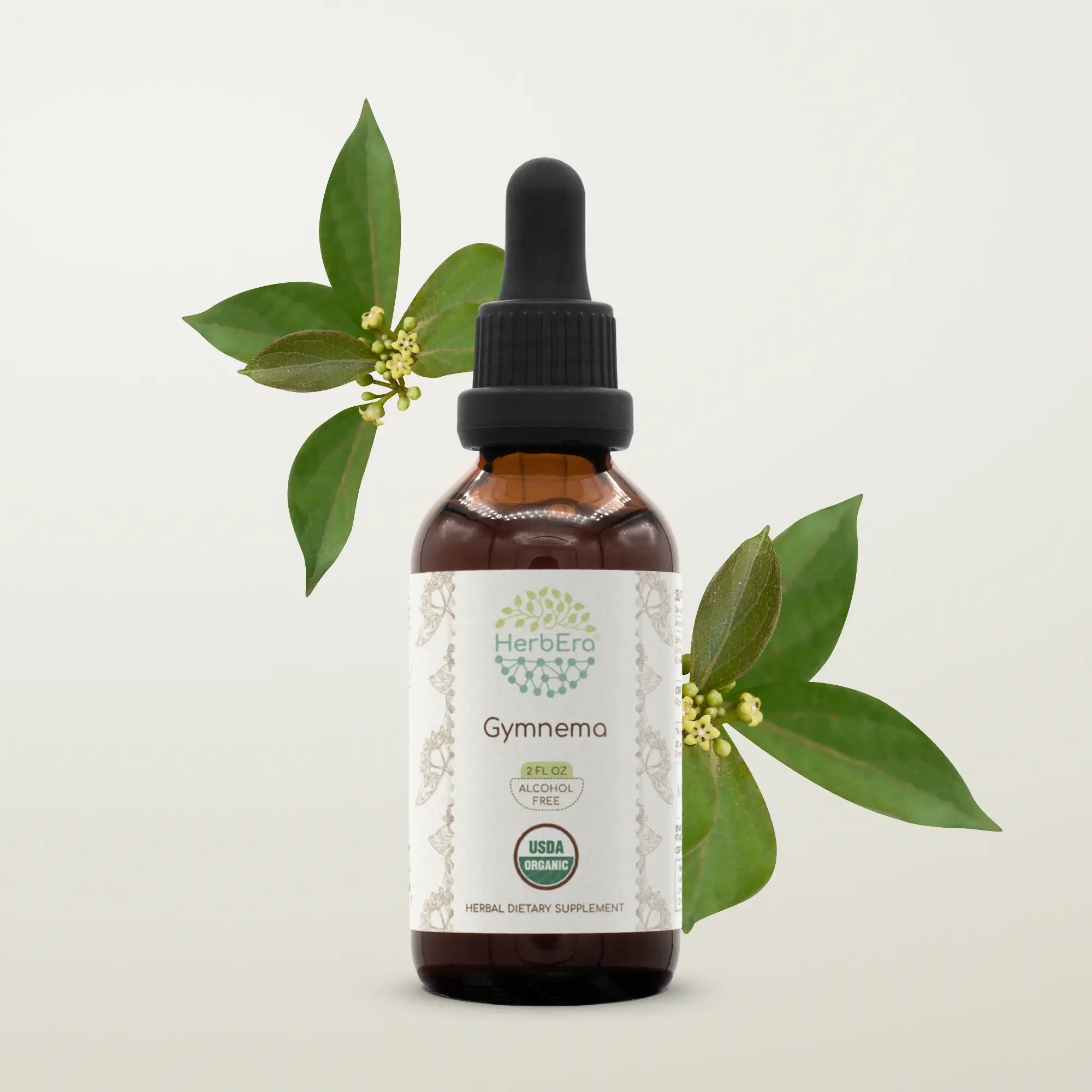 Gymnema Tincture