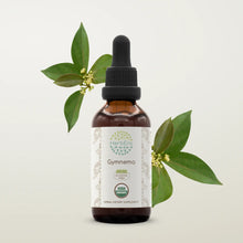 Load image into Gallery viewer, Buy Gymnema Tincture online - HerbEra