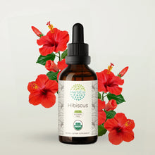 Load image into Gallery viewer, Hibiscus Tincture herbera Hibiscus Tincture herbera Herbal Extract