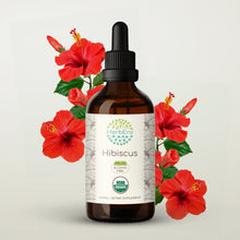 Load image into Gallery viewer, Hibiscus Tincture herbera Hibiscus Tincture herbera Herbal Extract