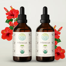 Load image into Gallery viewer, Hibiscus Tincture herbera Hibiscus Tincture herbera Herbal Extract