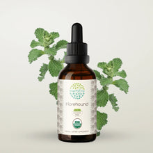 Load image into Gallery viewer, Horehound Tincture herbera Horehound Tincture herbera Herbal Extract