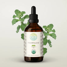 Load image into Gallery viewer, Horehound Tincture herbera Horehound Tincture herbera Herbal Extract