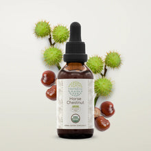 Load image into Gallery viewer, Buy Horse Chestnut Tincture online - HerbEra