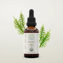 Load image into Gallery viewer, Buy Horsetail Tincture online - HerbEra