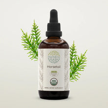 Load image into Gallery viewer, Buy Horsetail Tincture online - HerbEra