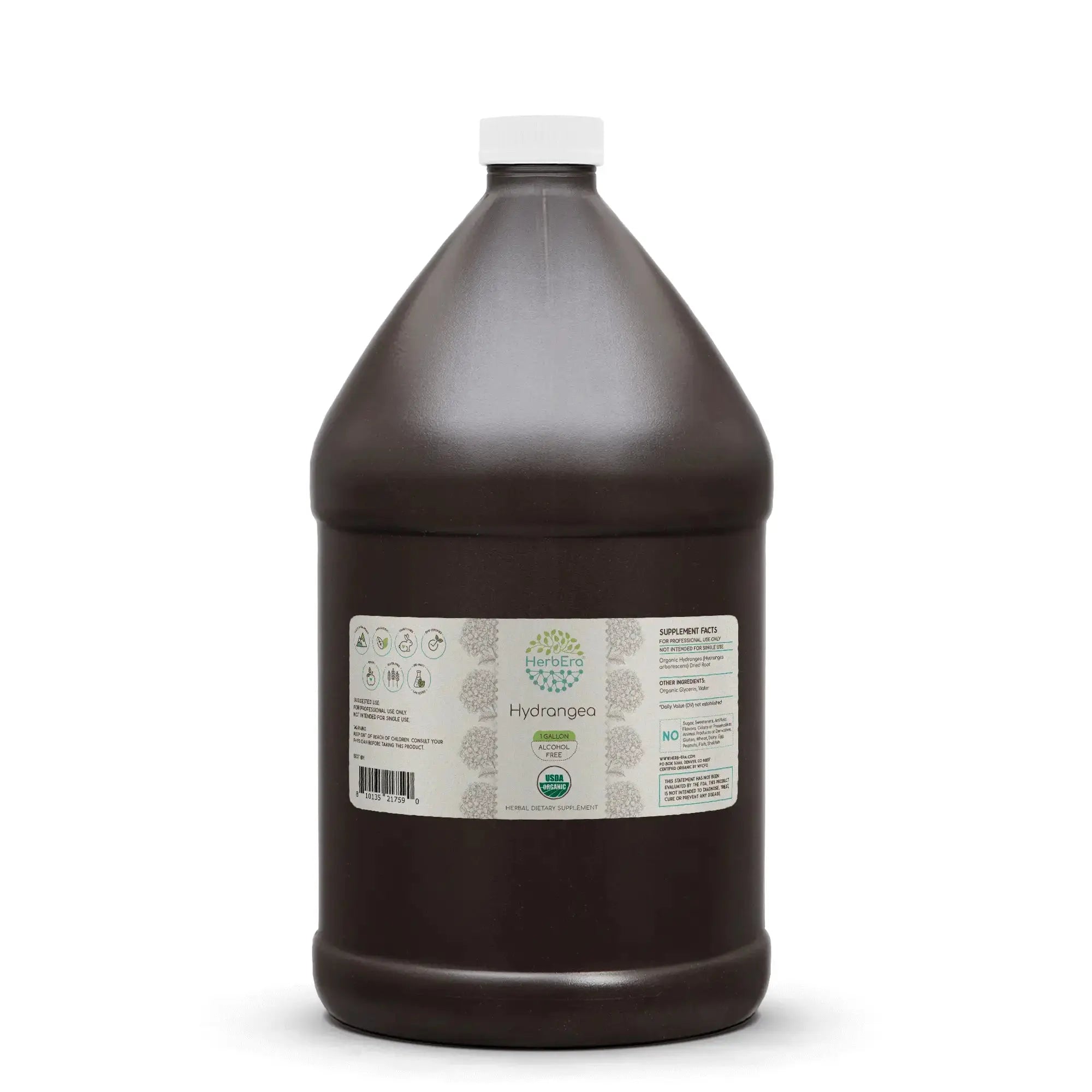 Hydrangea Gallon