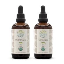 Load image into Gallery viewer, Hydrangea Tincture herbera Hydrangea Tincture herbera Herbal Extract