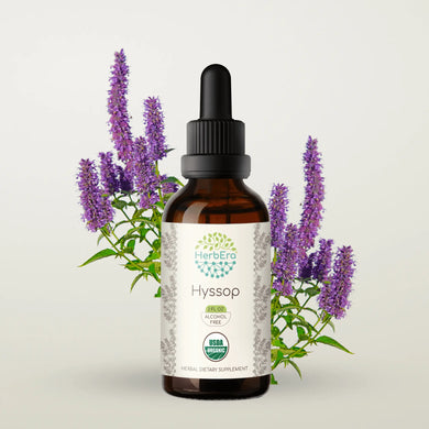 Hyssop Tincture herbera Hyssop Tincture herbera Herbal Extract