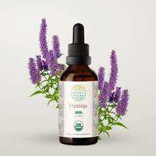 Load image into Gallery viewer, Hyssop Tincture