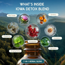 Load image into Gallery viewer, Iowa Detox Blend HerbEra Iowa Detox Blend HerbEra Formula