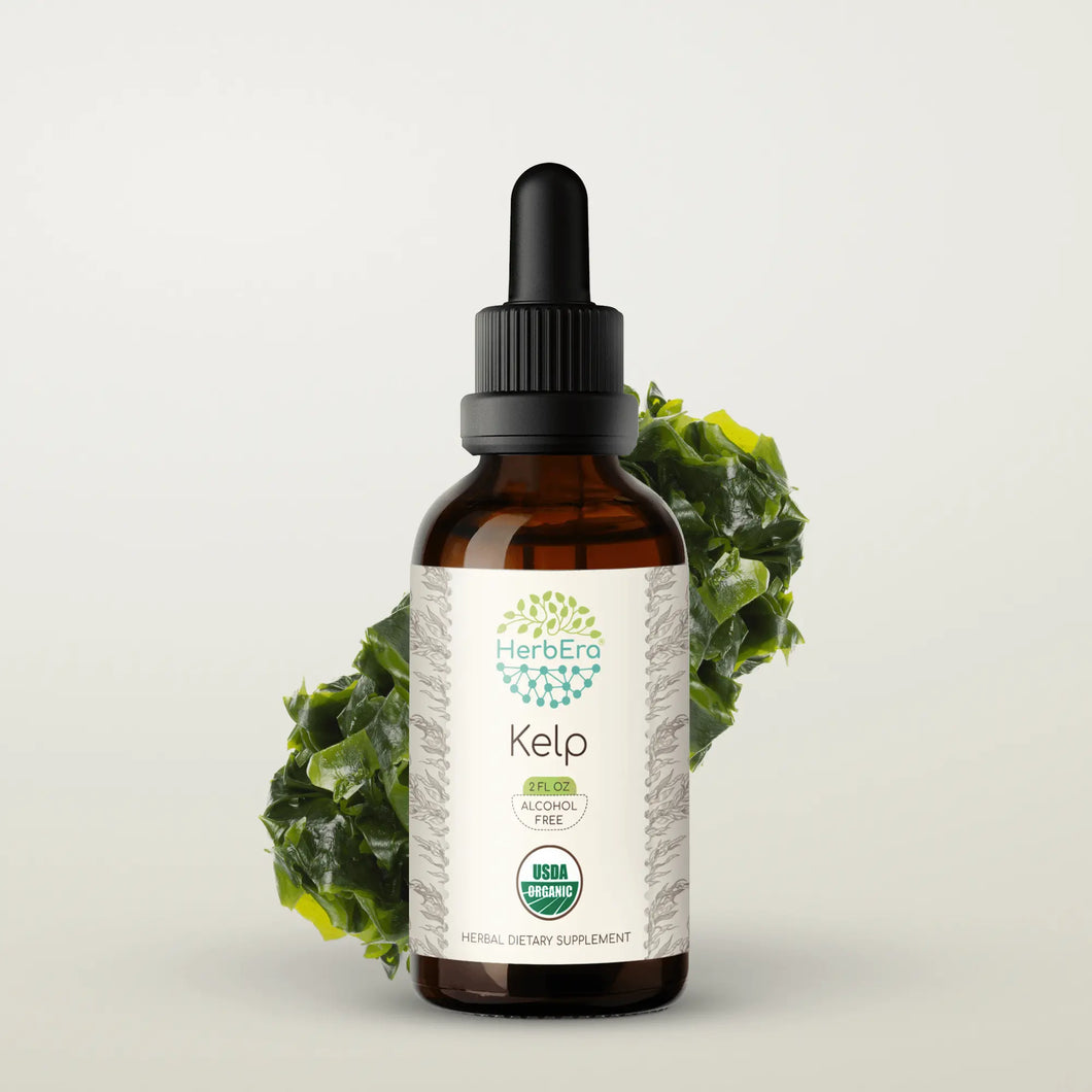Buy Kelp Tincture online