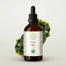 Load image into Gallery viewer, Kelp Tincture herbera Kelp Tincture herbera Herbal Extract