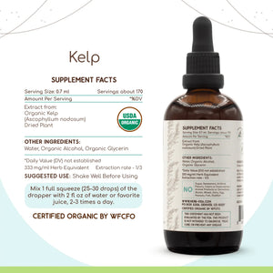 Kelp Tincture herbera Kelp Tincture herbera Herbal Extract