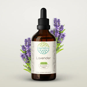 Lavender Tincture herbera Lavender Tincture herbera Herbal Extract