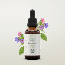 Load image into Gallery viewer, Lungwort Tincture herbera Lungwort Tincture herbera Herbal Extract