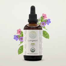 Load image into Gallery viewer, Lungwort Tincture herbera Lungwort Tincture herbera Herbal Extract