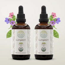 Load image into Gallery viewer, Lungwort Tincture herbera Lungwort Tincture herbera Herbal Extract