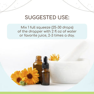 Maca Tincture HerbEra Maca Tincture HerbEra Herbal Extract