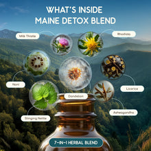 Load image into Gallery viewer, Maine Detox Blend HerbEra Maine Detox Blend HerbEra Formula