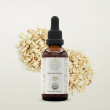 Load image into Gallery viewer, Marshmallow Tincture herbera Marshmallow Tincture herbera Herbal Extract