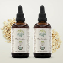 Load image into Gallery viewer, Marshmallow Tincture herbera Marshmallow Tincture herbera Herbal Extract