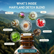 Load image into Gallery viewer, Maryland Detox Blend HerbEra Maryland Detox Blend HerbEra Formula