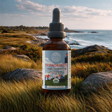 Load image into Gallery viewer, Massachusetts Detox Blend HerbEra Massachusetts Detox Blend HerbEra Formula