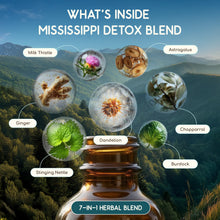 Load image into Gallery viewer, Mississippi Detox Blend HerbEra Mississippi Detox Blend HerbEra Formula