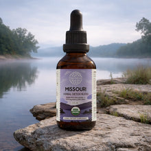 Load image into Gallery viewer, Missouri Detox Blend HerbEra Missouri Detox Blend HerbEra Formula