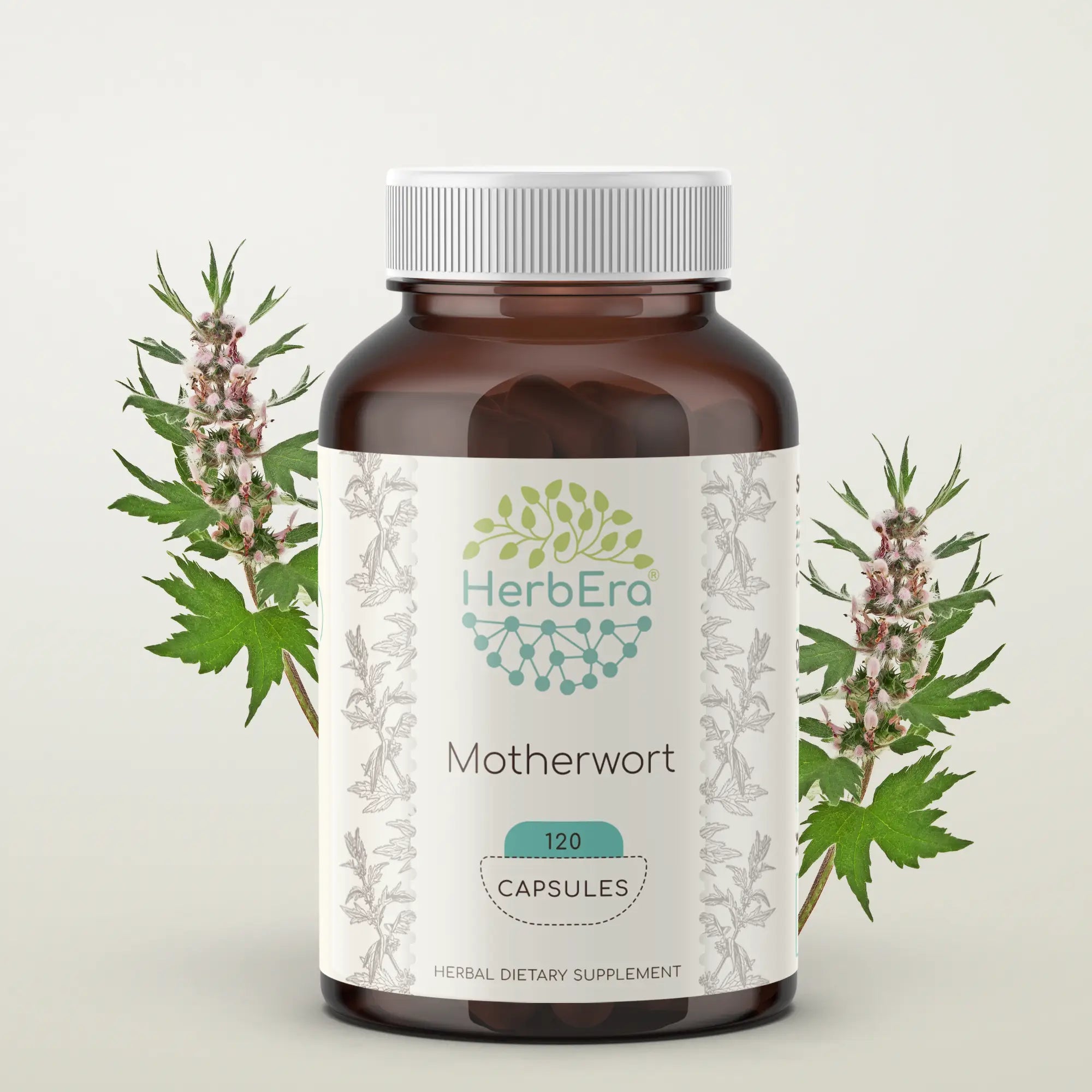 Motherwort Capsules